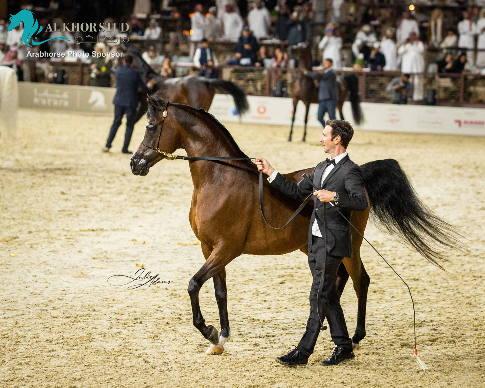 CHAMPIONSHIP DAY OF 2022 KATARA INTERNATIONAL ARABIAN HORSE FESTIVAL TITLE SHOW