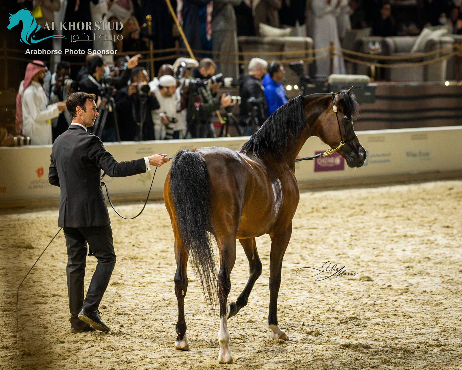 CHAMPIONSHIP DAY OF 2022 KATARA INTERNATIONAL ARABIAN HORSE FESTIVAL TITLE SHOW