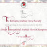 Lisa Abraham: The 2022 Abu Dhabi International Arabian Horse Championship ~ PHOTO GALLERY