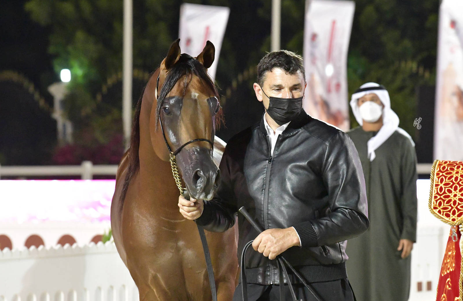 Senior Stallion Gold Champion: Muhab BHM (S.M.A. Magic One X Mademoiselle) 