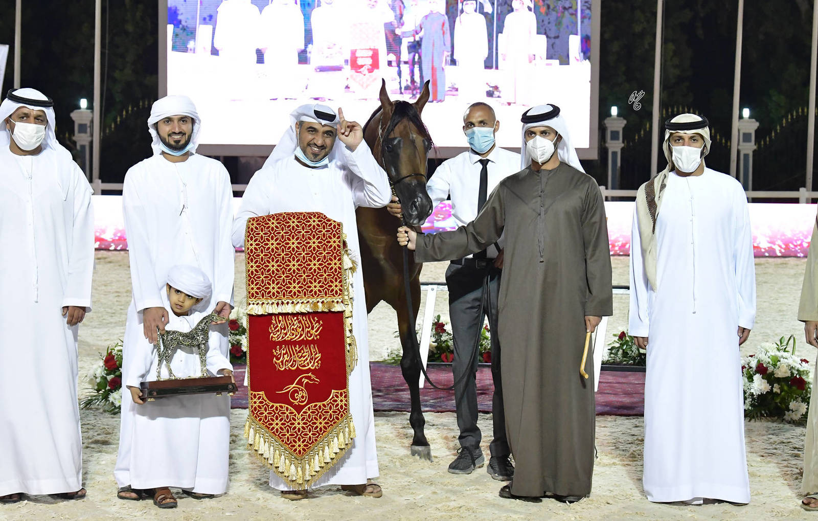 Senior Stallion Gold Champion: Muhab BHM (S.M.A. Magic One X Mademoiselle) 