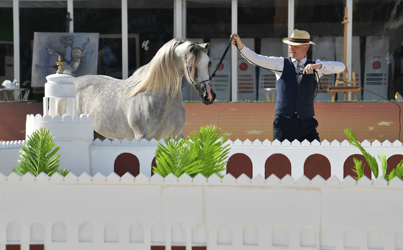 Senior Stallion Silver Champion: Al Aryam Shklaan (Excalibur EA X Al Aryam Shakeera) 