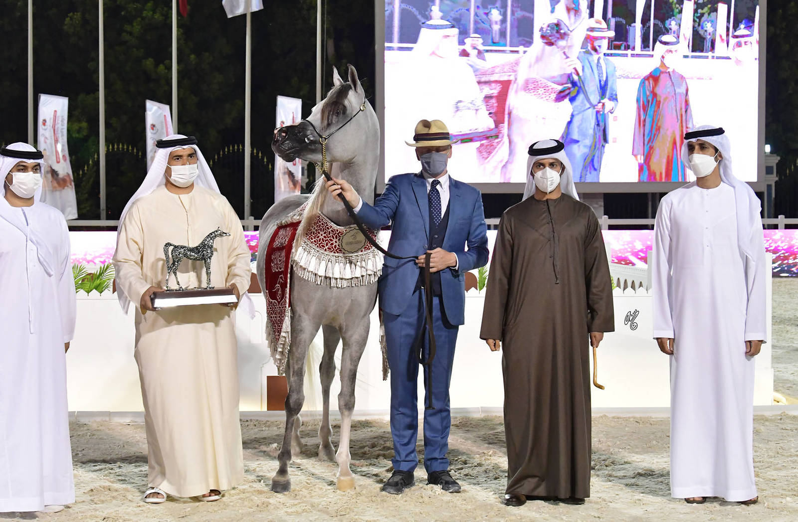 Senior Stallion Silver Champion: Al Aryam Shklaan (Excalibur EA X Al Aryam Shakeera) 