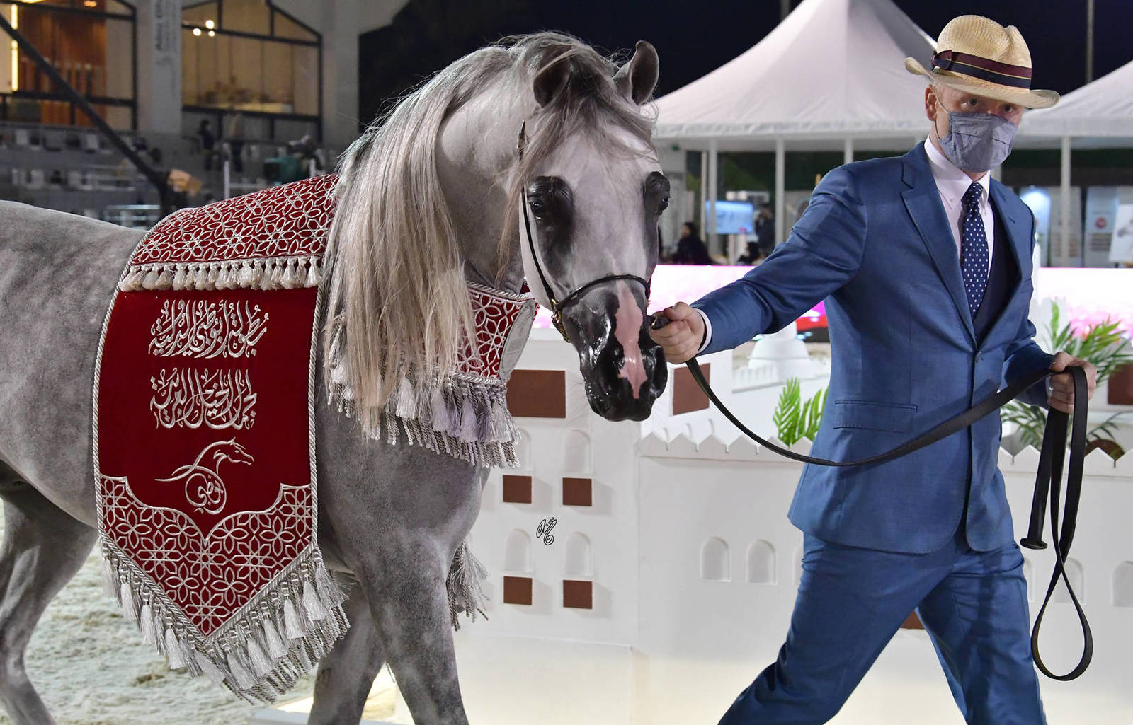 Senior Stallion Silver Champion: Al Aryam Shklaan (Excalibur EA X Al Aryam Shakeera) 
