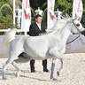 Senior Mare Gold Champion: Basandrasettimocielo (Ajman Moniscione X MA Scarlet) 