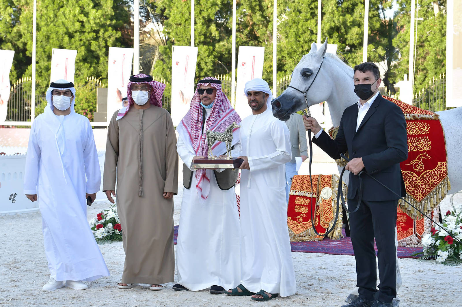 Senior Mare Gold Champion: Basandrasettimocielo (Ajman Moniscione X MA Scarlet) 