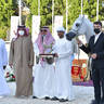 Senior Mare Gold Champion: Basandrasettimocielo (Ajman Moniscione X MA Scarlet) 