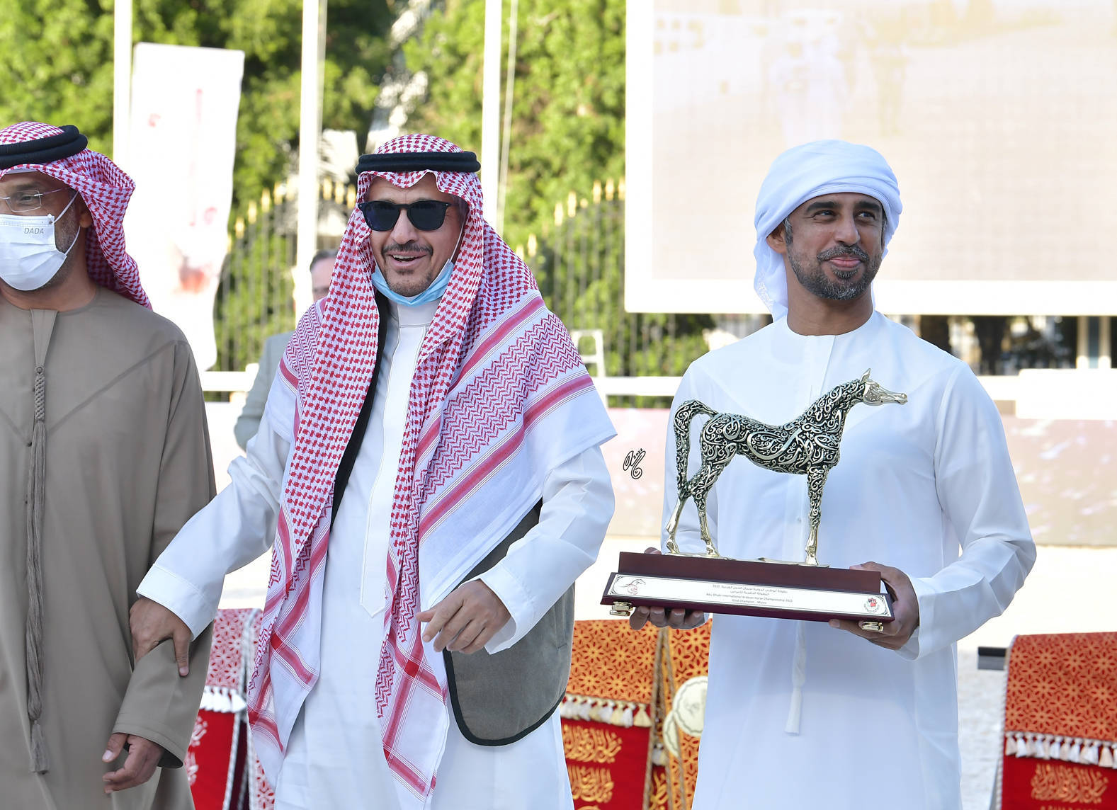 Senior Mare Gold Champion: Basandrasettimocielo (Ajman Moniscione X MA Scarlet) 