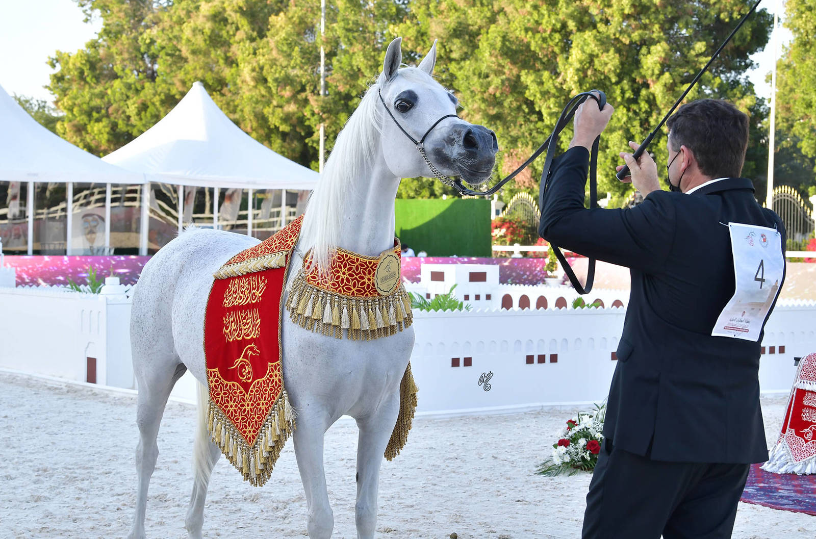Senior Mare Gold Champion: Basandrasettimocielo (Ajman Moniscione X MA Scarlet) 
