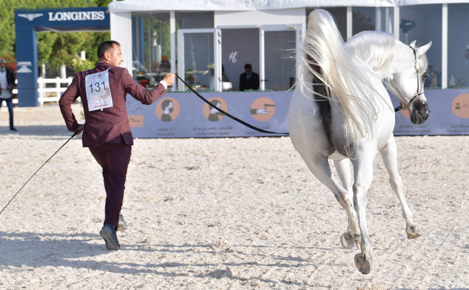 Senior Mare Silver Champion: Estonia (Palatino X Esparta) 