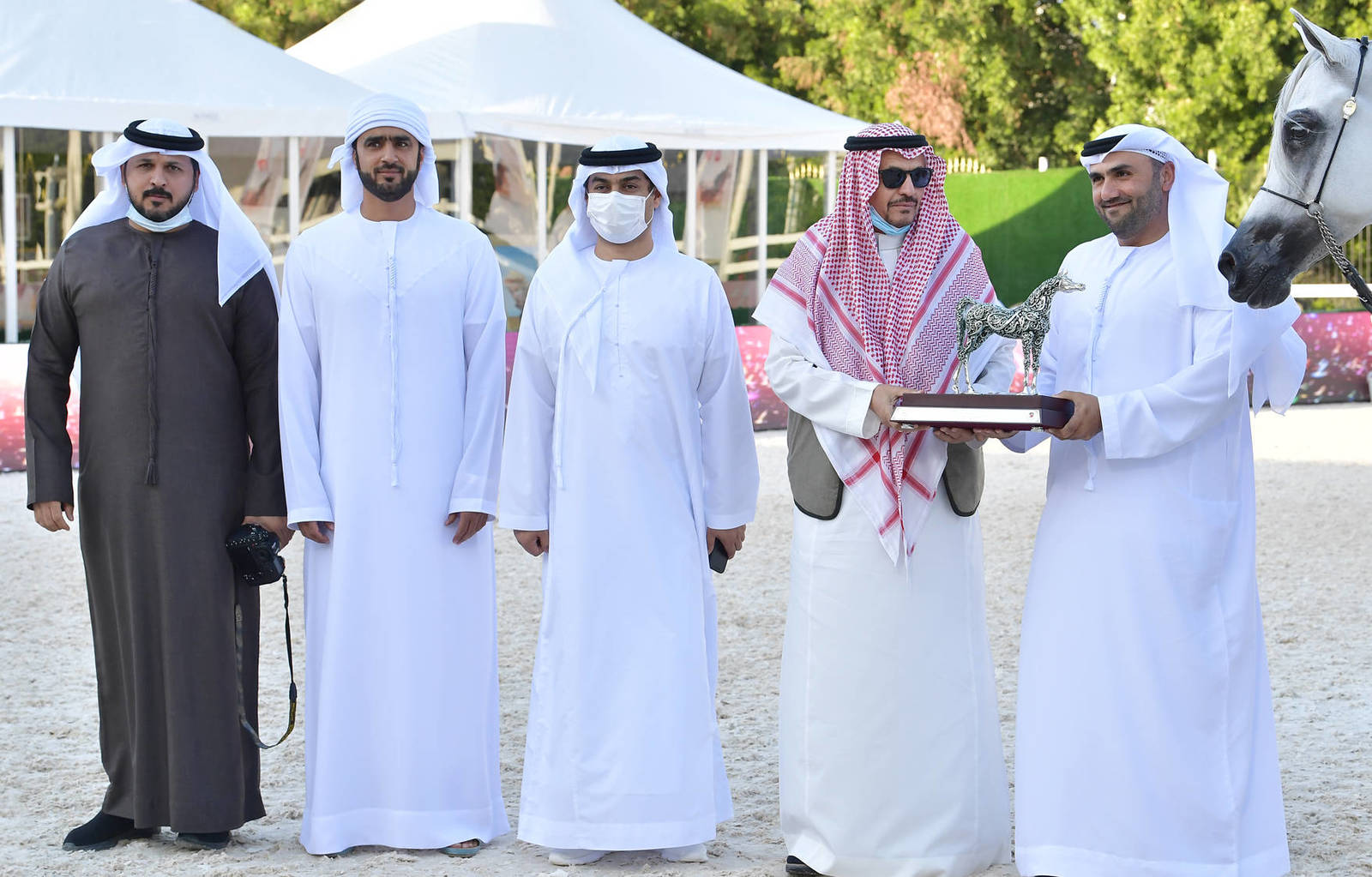 Senior Mare Silver Champion: Estonia (Palatino X Esparta) 