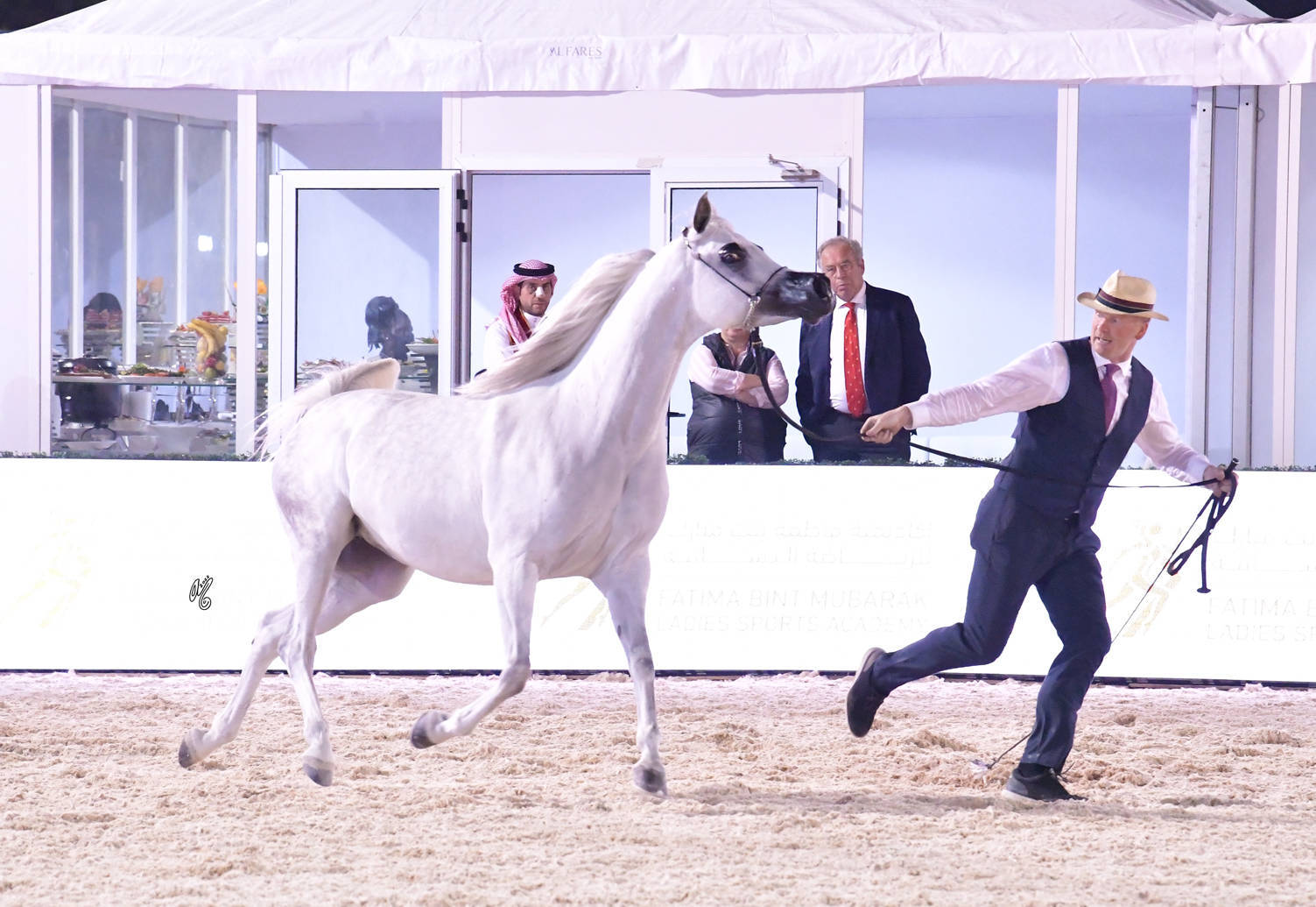Senior Mare Bronze Champion: Jhindra (Profender KA X Destiny) 