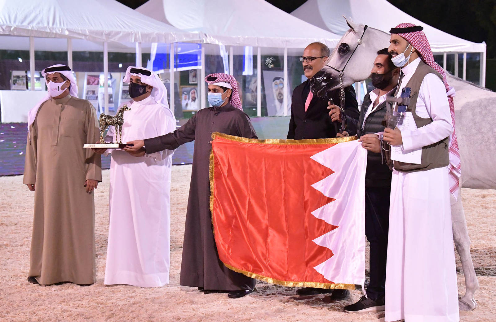 Senior Mare Bronze Champion: Jhindra (Profender KA X Destiny) 