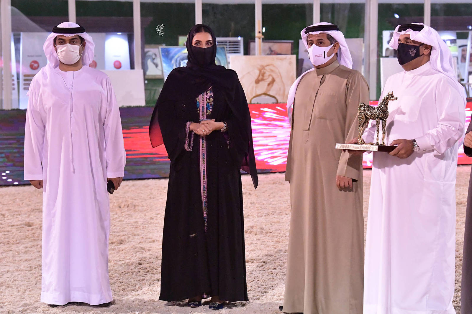 Senior Mare Bronze Champion: Jhindra (Profender KA X Destiny) 