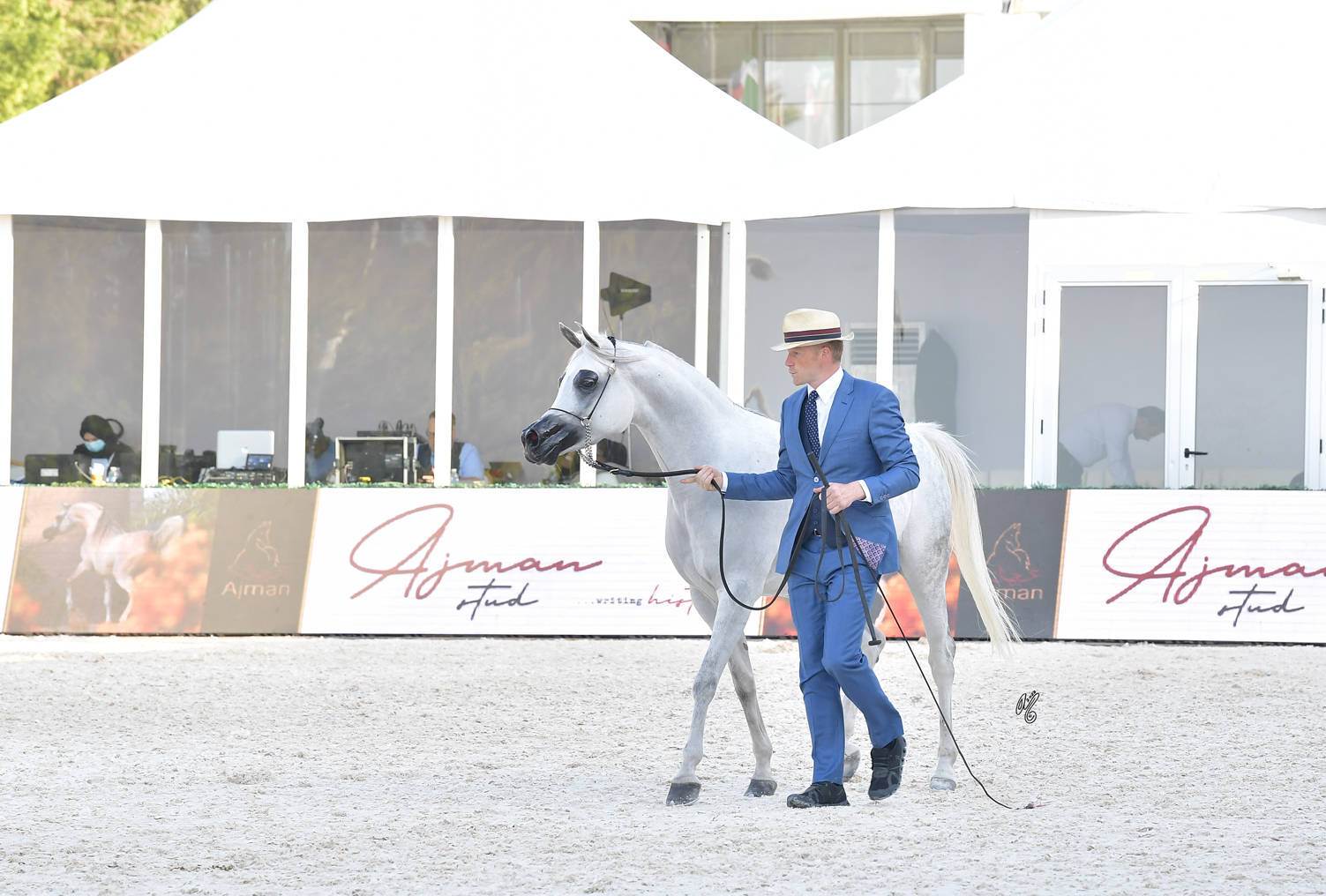 Senior Mare Bronze Champion: Jhindra (Profender KA X Destiny) 