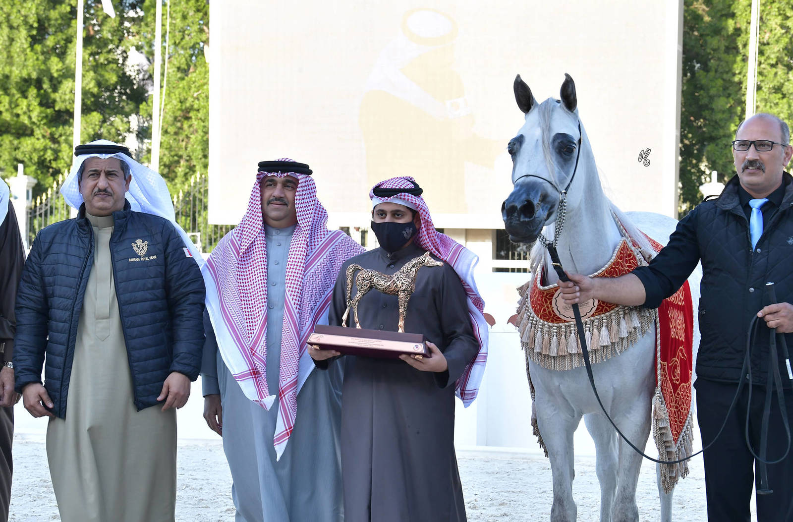 Senior Mare Bronze Champion: Jhindra (Profender KA X Destiny) 