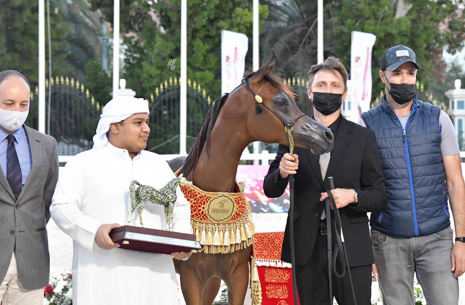 Yearling Colt Gold Champion: JS Troy (Dominic M X D Ghaneemah)