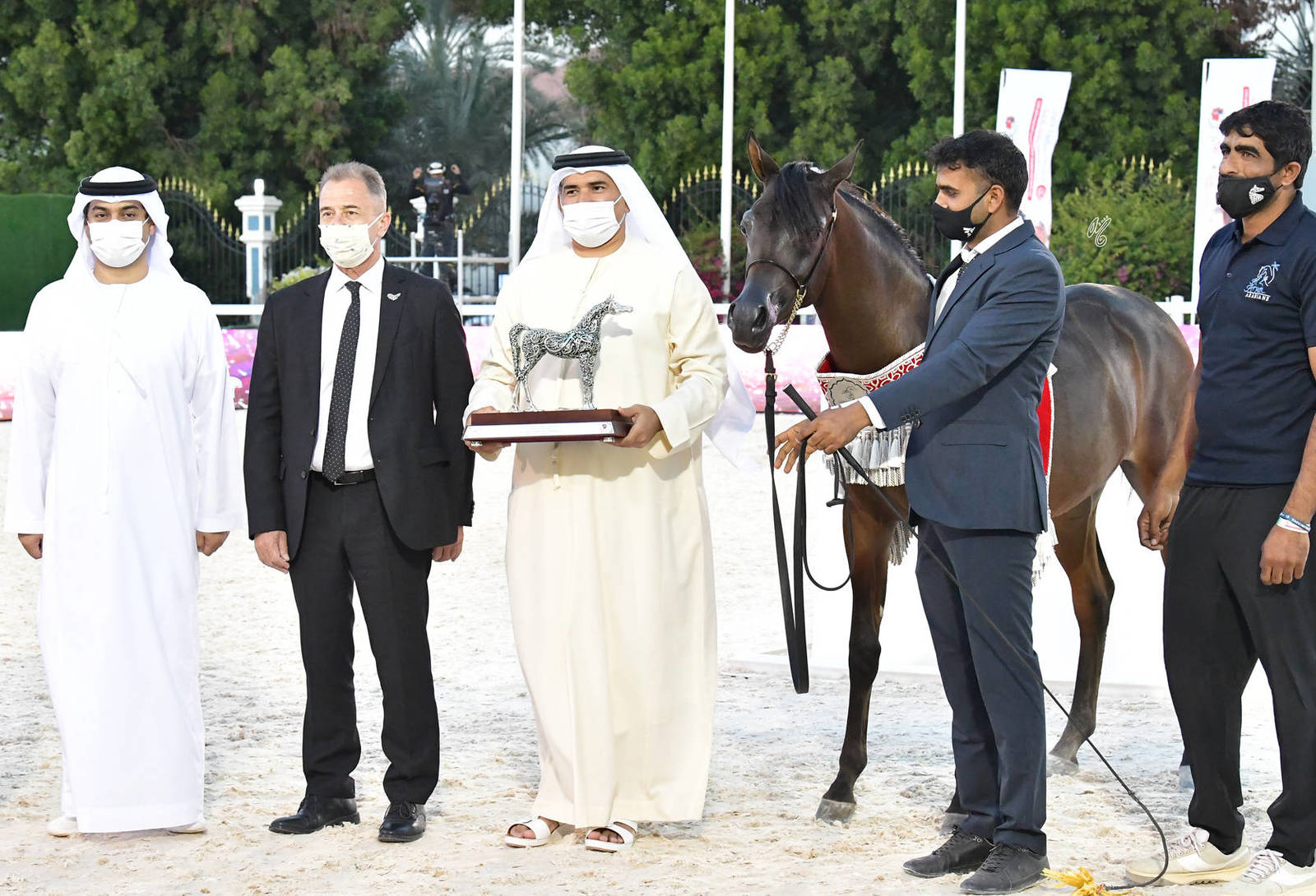 Yearling Colt Silver Champion: Al Aryam Ashaq (D Seraj X Al Aryam Abla) 