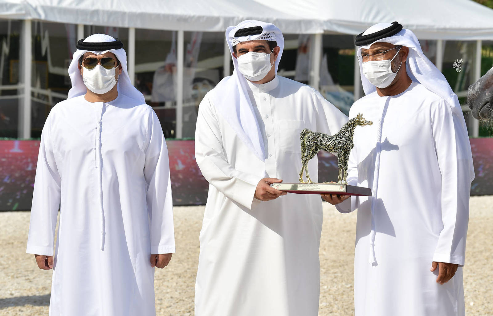 Junior Colt Gold Champion: AJ Ajban (AJ Kafu X AJ Saphira) 