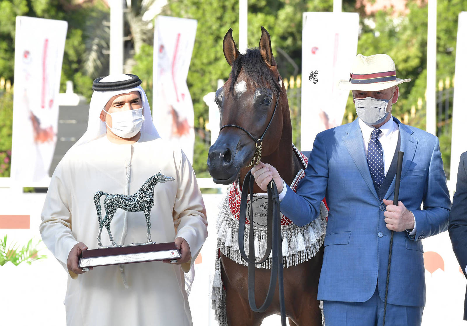 Junior Colt Silver Champion: Al Aryam Hasheem (FA El Rasheem  x Al Aryam Hamra)