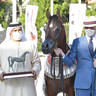Junior Colt Silver Champion: Al Aryam Hasheem (FA El Rasheem  x Al Aryam Hamra)