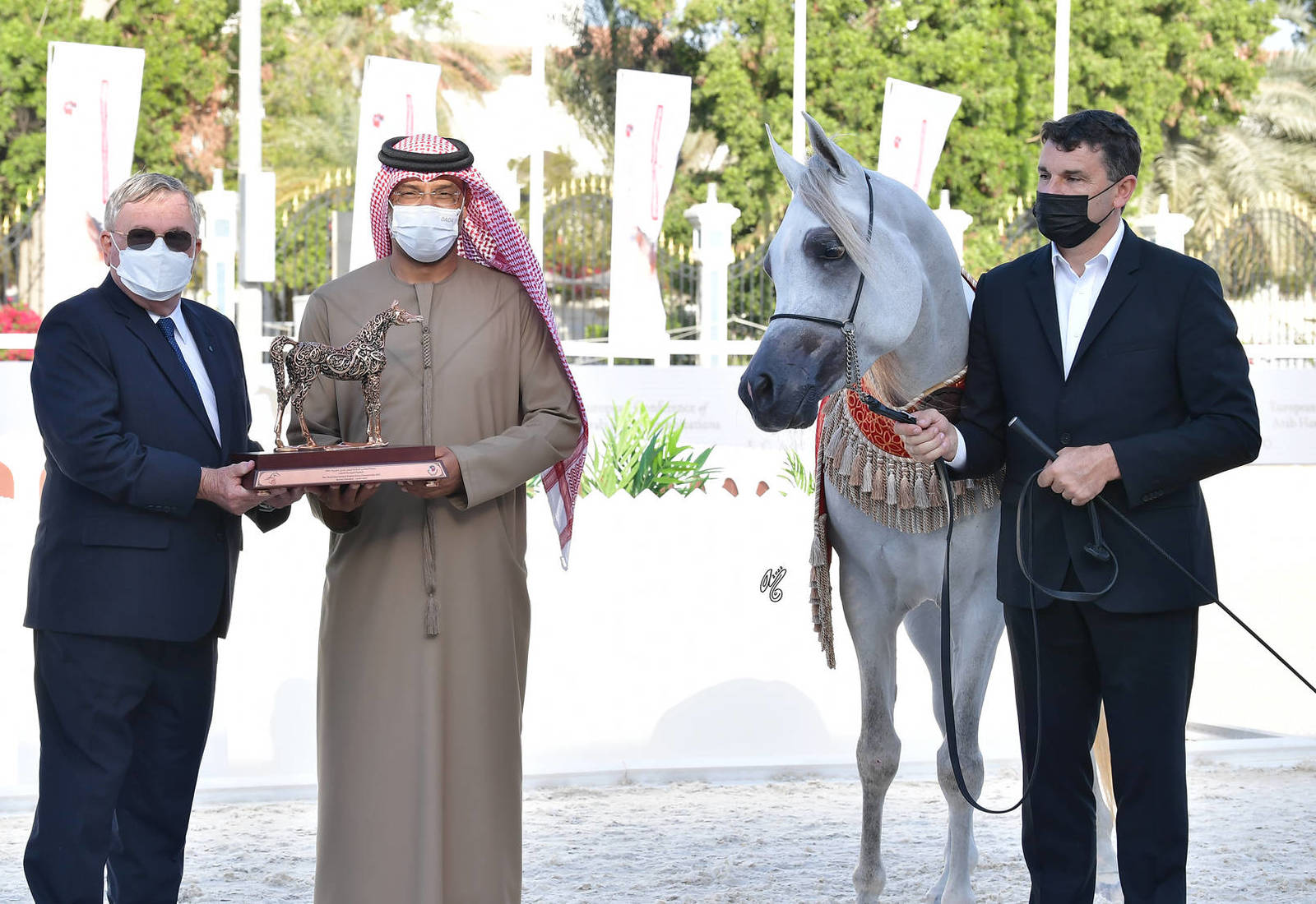 Junior Colt Bronze Champion: KA Nishan (Shanghai EA X AJ Nazwa)