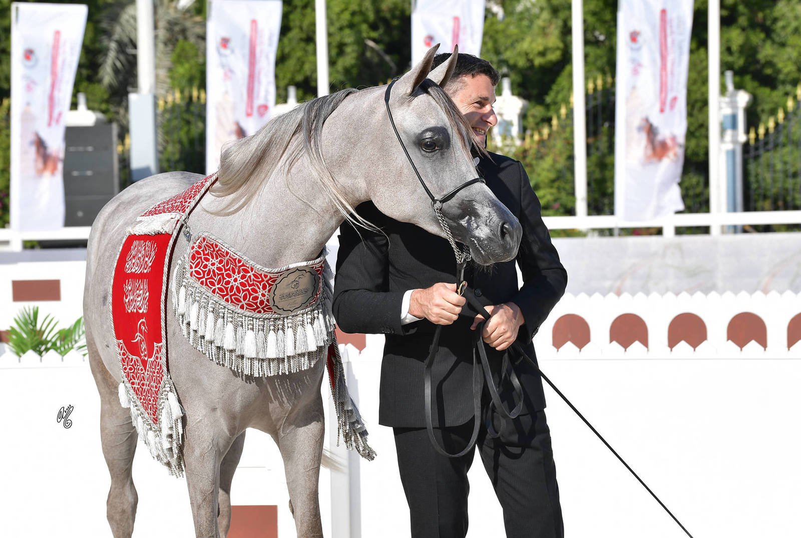 Junior Filly Silver Champion: AJ Ghazalah (Shanghai EA X Ghadeer AM) 