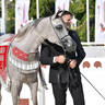 Junior Filly Silver Champion: AJ Ghazalah (Shanghai EA X Ghadeer AM) 