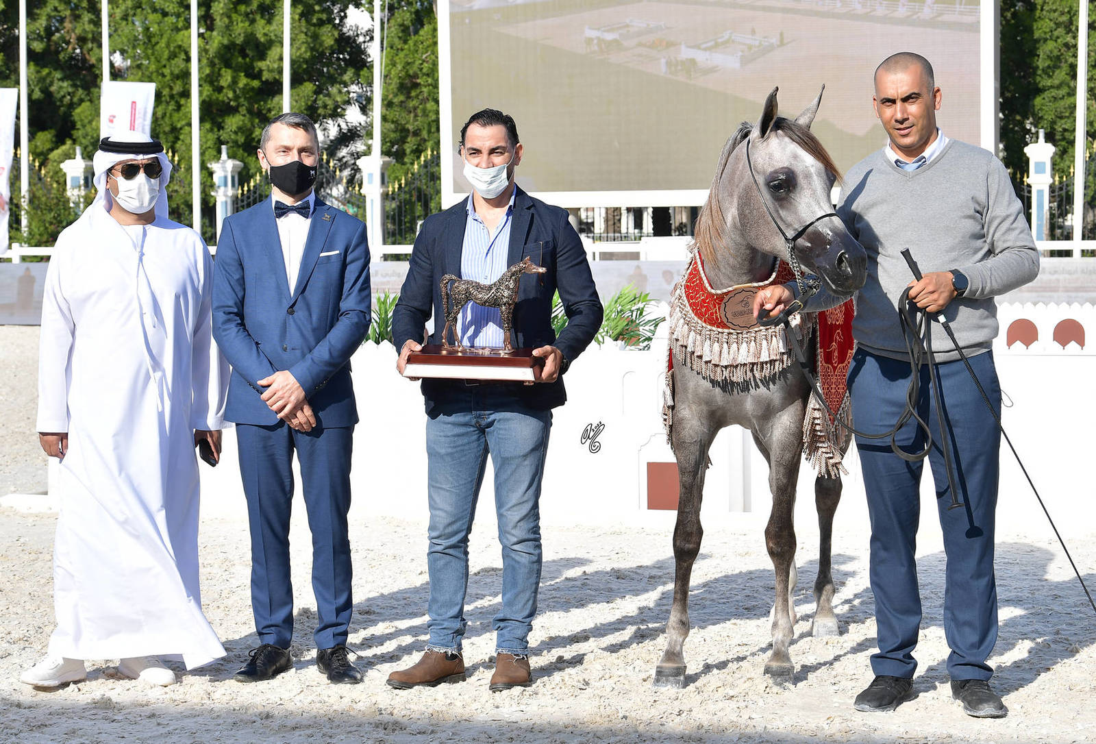 Junior Filly Bronze Champion: D Reemah (D Seraj X D Nawal)