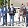 Junior Filly Bronze Champion: D Reemah (D Seraj X D Nawal)