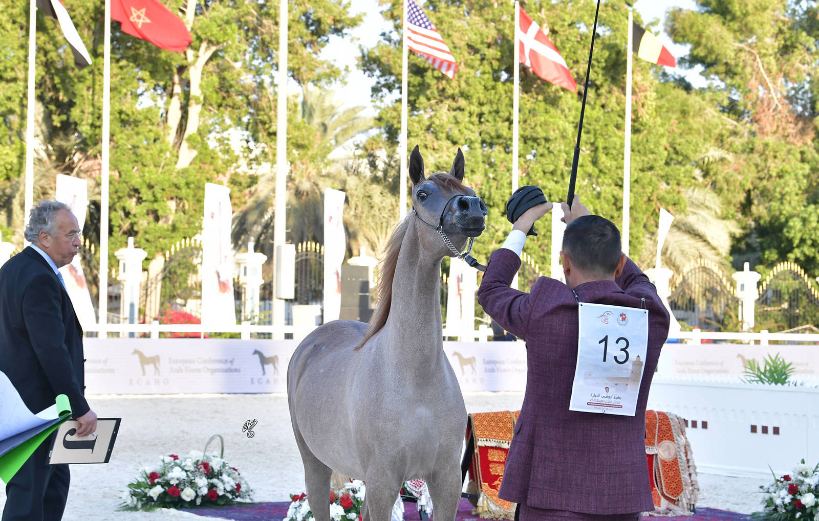 Yearling Filly Gold Champion: E.S. Sharjah (E.S. Sarab X E.S. Rasheeda) 