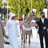 Yearling Filly Silver Champion: AJ Mwary (Shanghai EA  AJ Mouna)