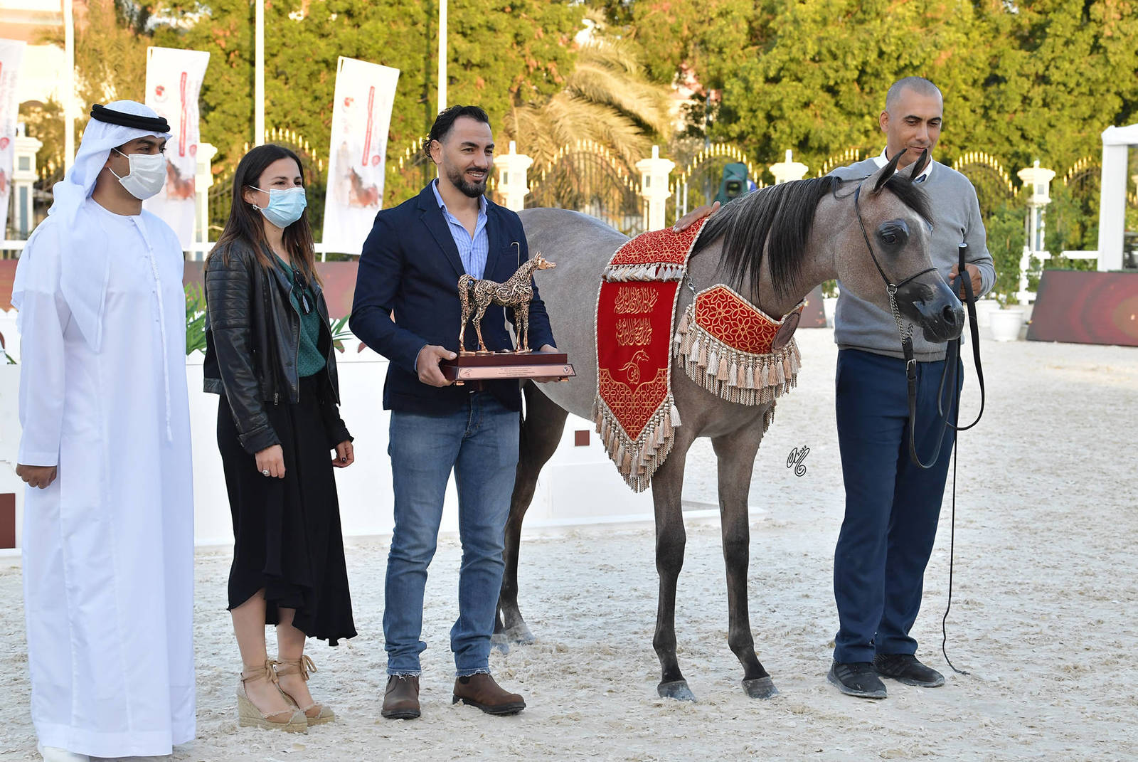Yearling Filly Bronze Champion: D Rama (FA El Rasheem X D Ajayeb) 