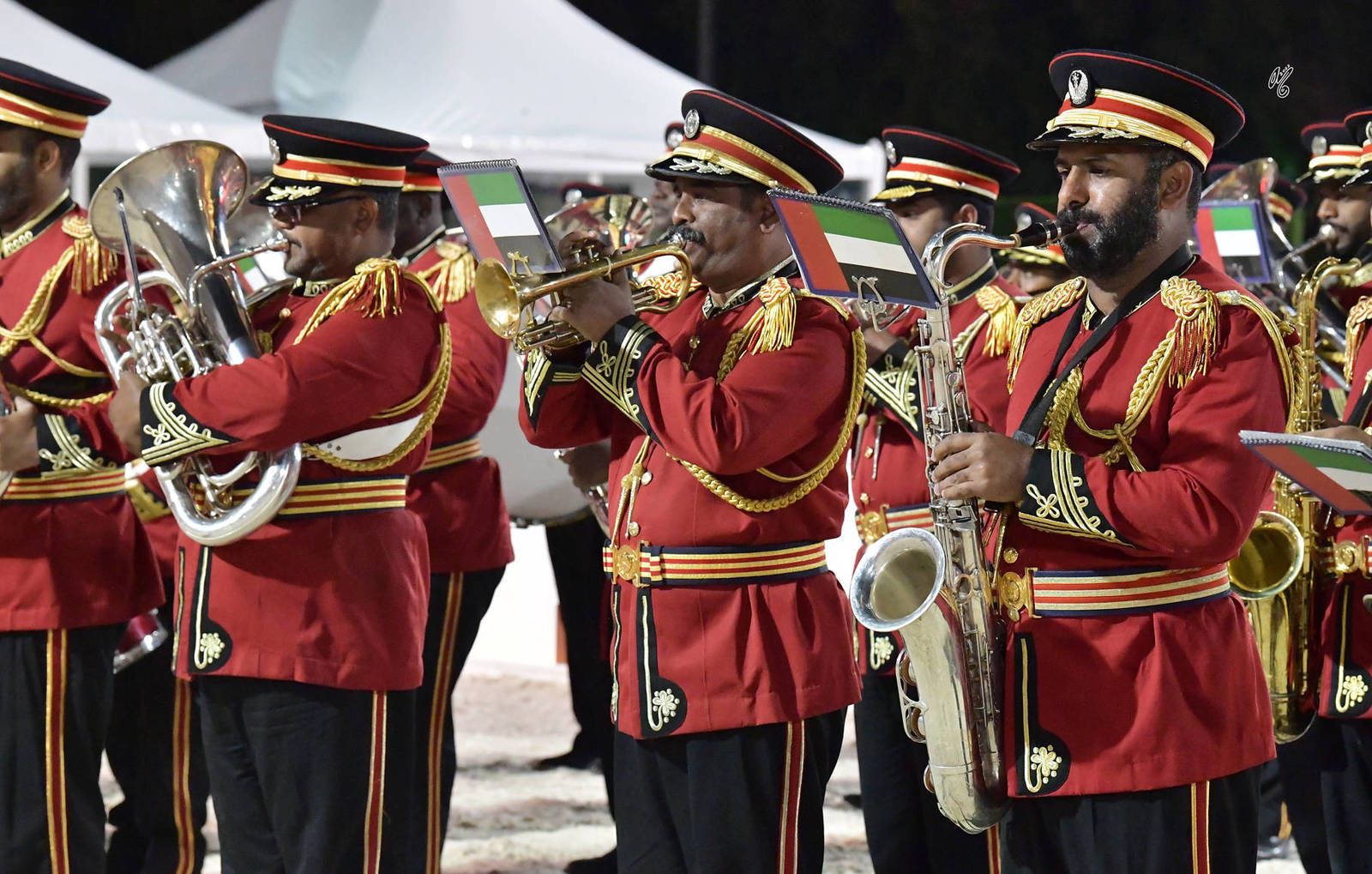 Lisa Abraham: The 2022 Abu Dhabi International Arabian Horse Championship ~ PHOTO GALLERY