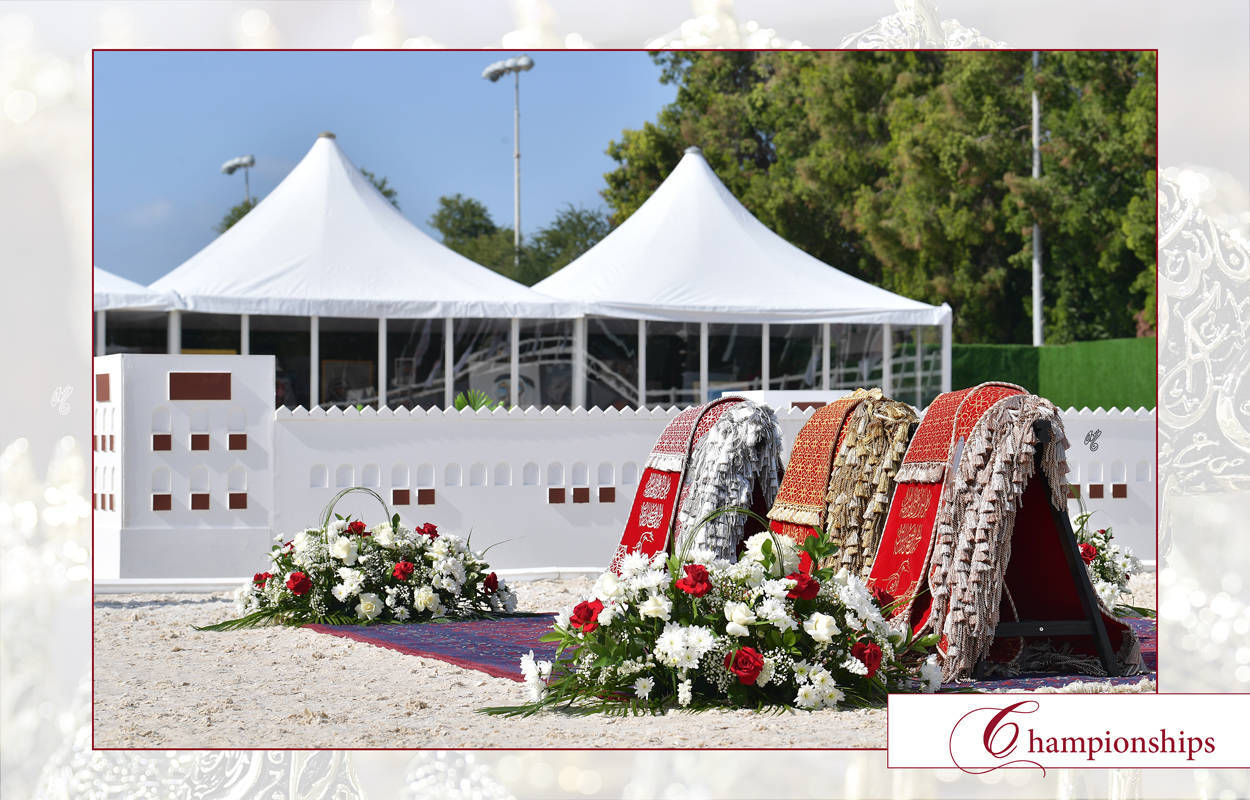 Lisa Abraham: The 2022 Abu Dhabi International Arabian Horse Championship ~ PHOTO GALLERY