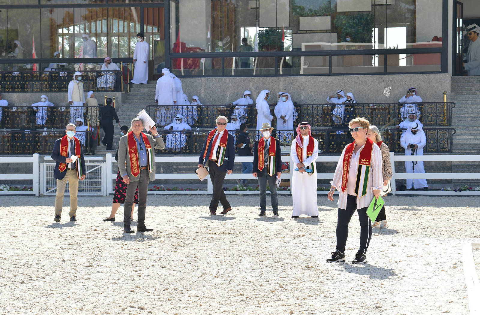 Lisa Abraham: The 2022 Abu Dhabi International Arabian Horse Championship ~ PHOTO GALLERY