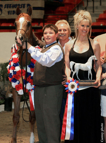 Futurity-Colt-Champion---DL.jpg