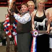 Futurity-Colt-Champion---DL.jpg