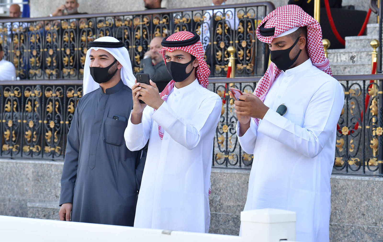 Lisa Abraham: The 2022 Abu Dhabi International Arabian Horse Championship ~ PHOTO GALLERY