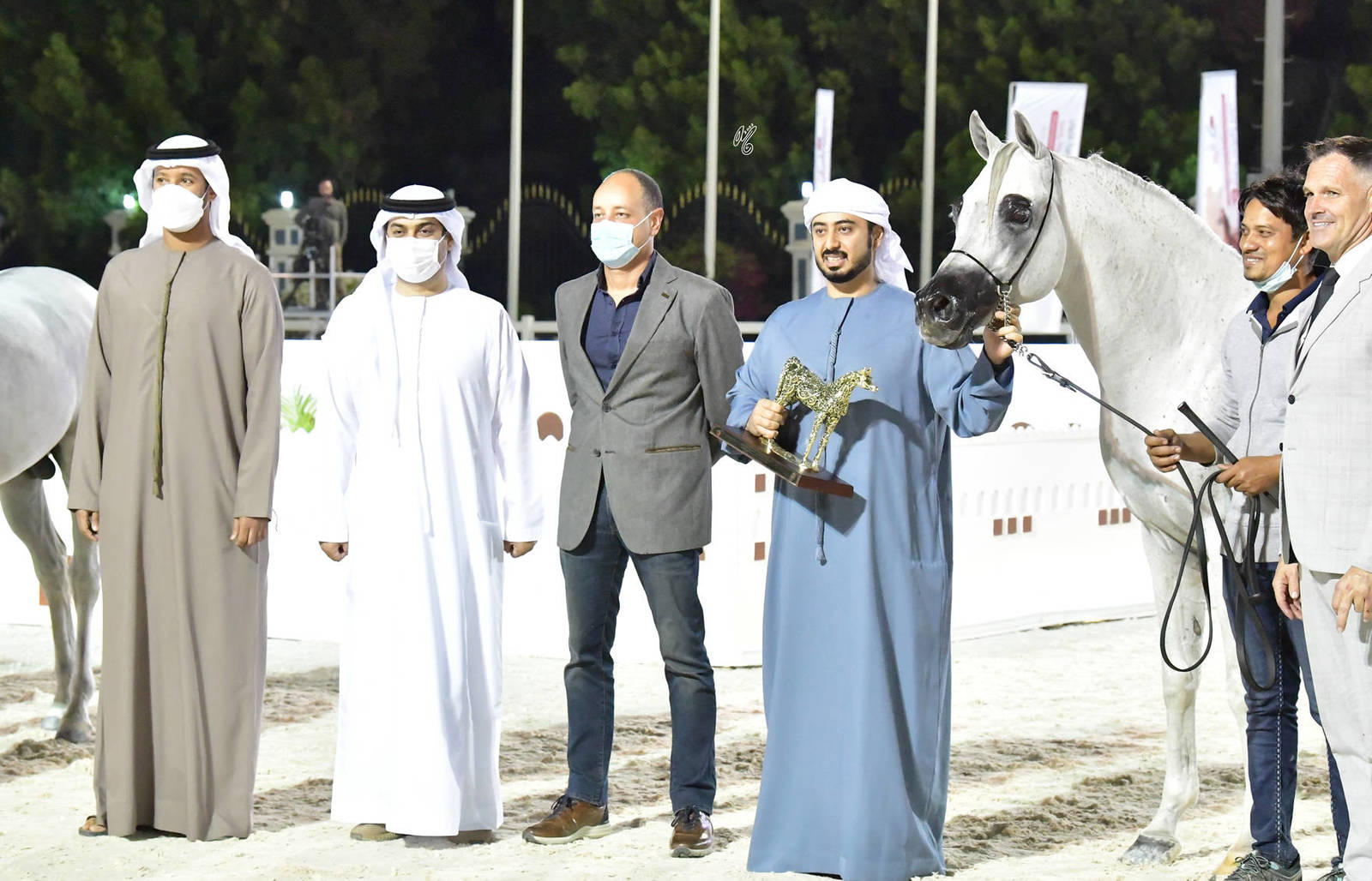 Stallions 10 Years and Older: D Al Hareth 