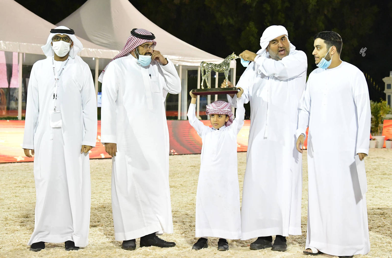 Stallions 7-9 Years Old: Murad Al Zobair 