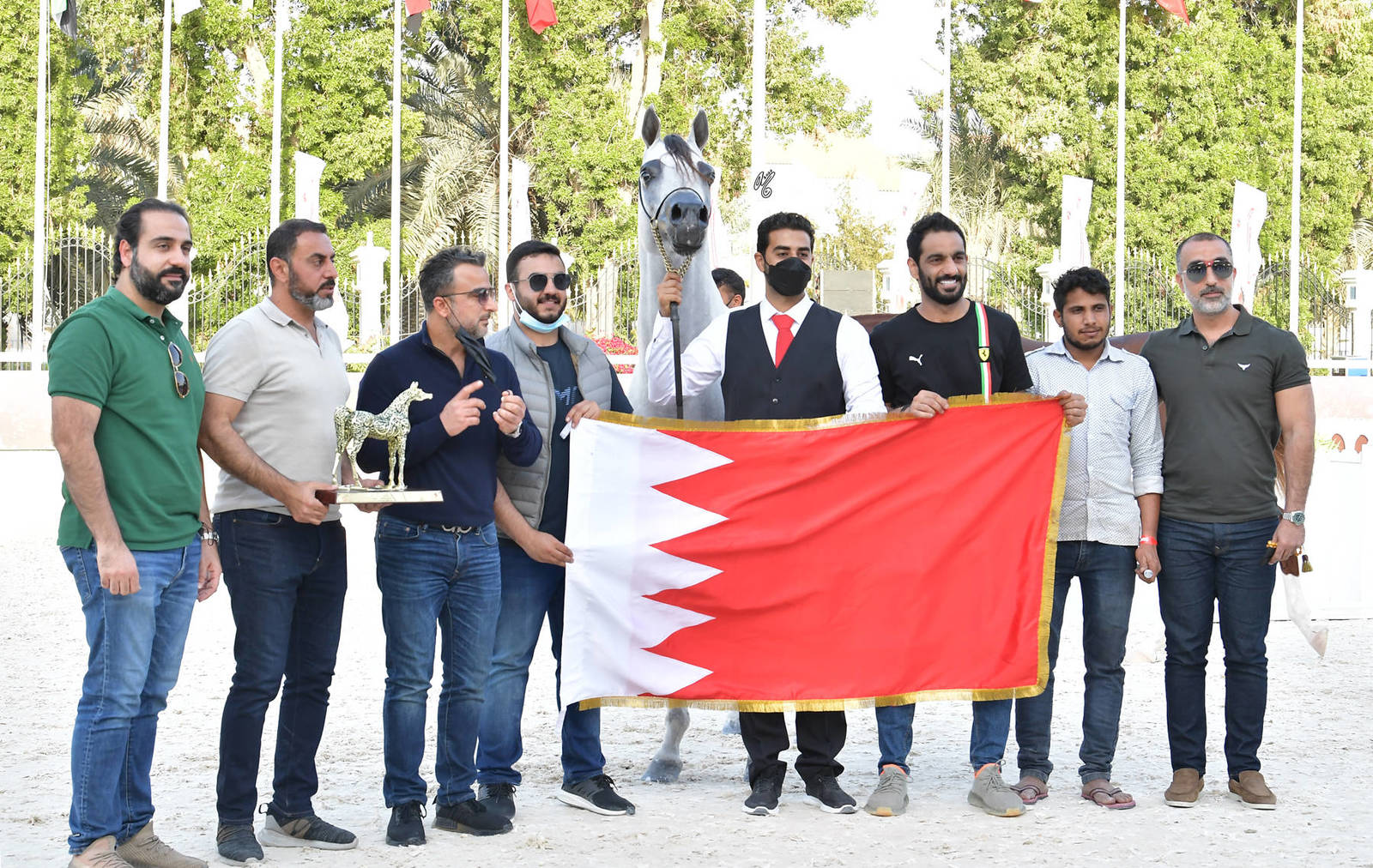 Stallions 4-6 Years Old: Mushtabah Al Zobair 