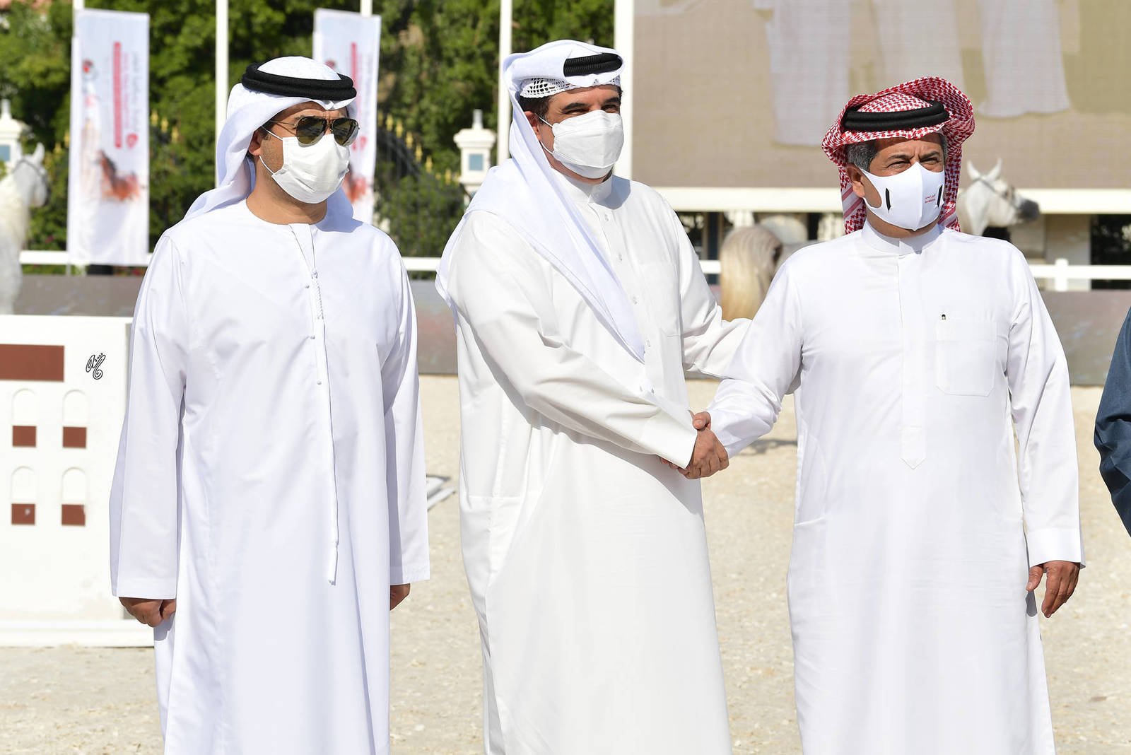 Colts 3 Years Old: AMS Alfahad