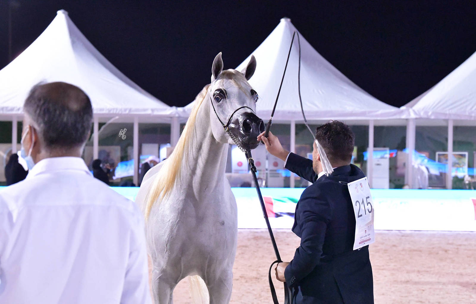 Colts 2 Years Old: AJ Kateem 