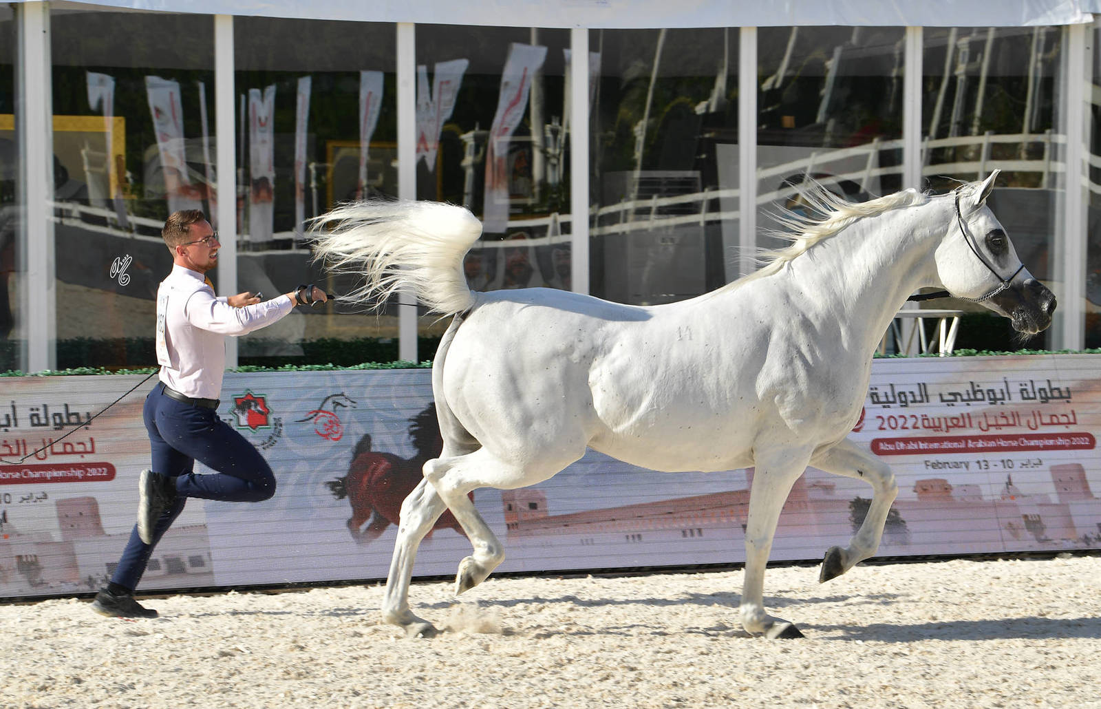 Mares 10 Years and Older: Puystynna Fiesta 