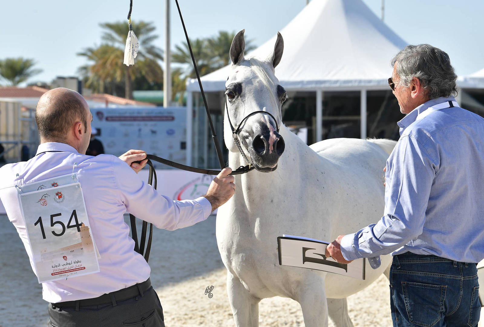 Mares 10 Years and Older: MVA Imperial Mist 