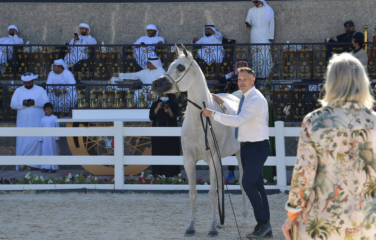 Mares 10 Years and Older: SG Rowadah 