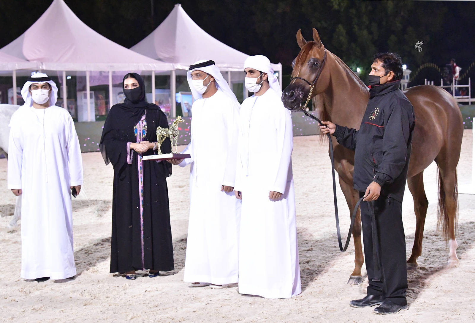 Mares 4-6 Years Old: AJ Banafsaj 