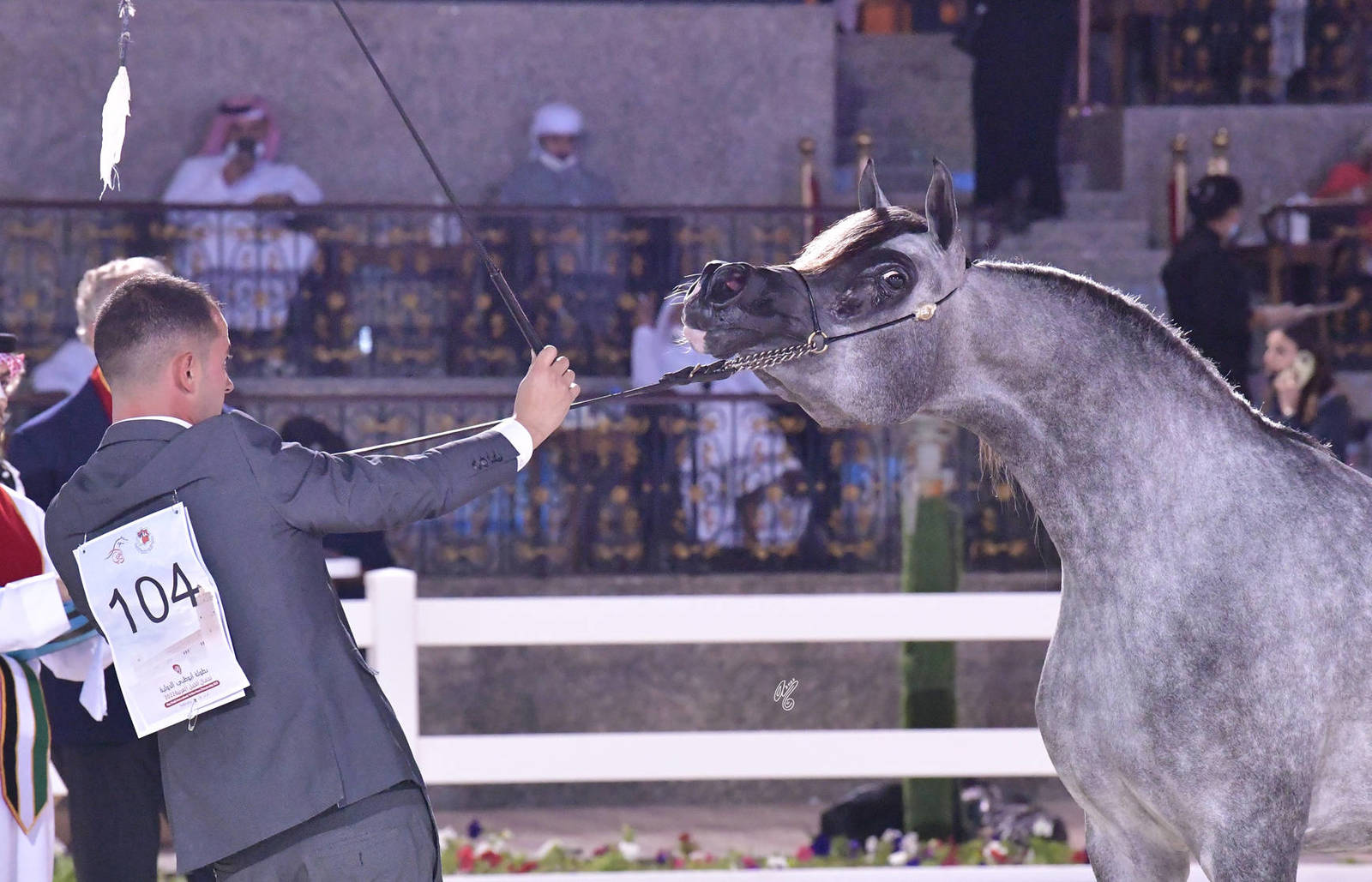 Fillies 3 Years Old: K Liali 