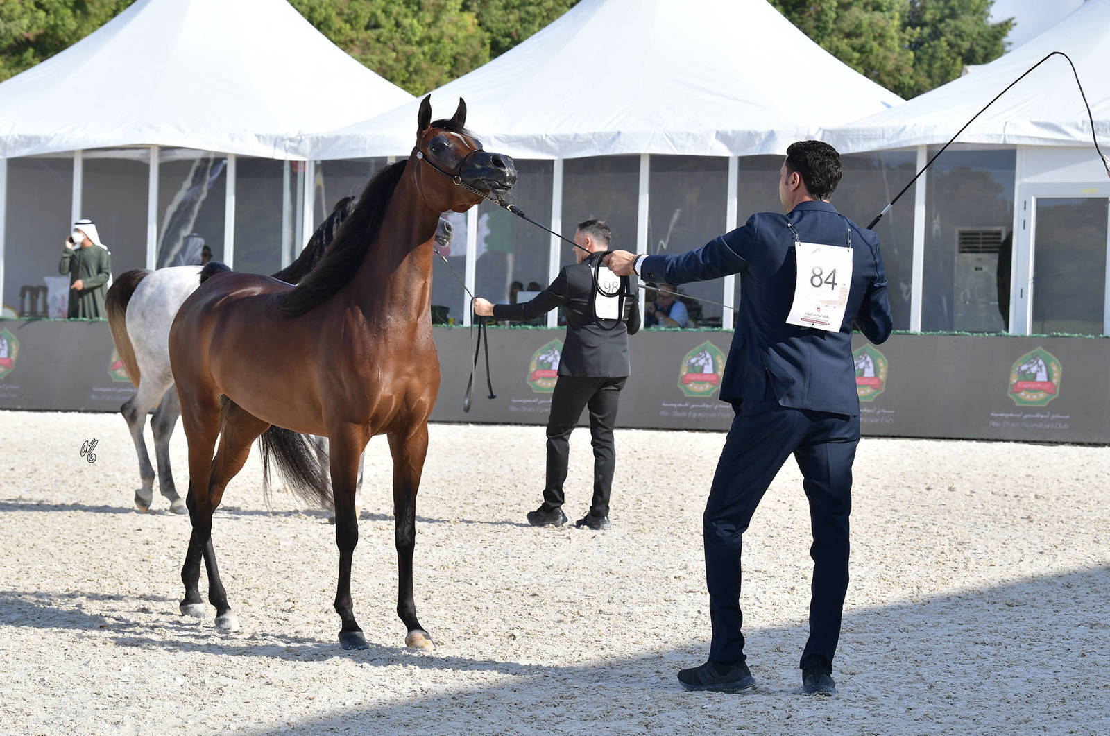 Fillies 3 Years Old: Naqwah Al Zobair 